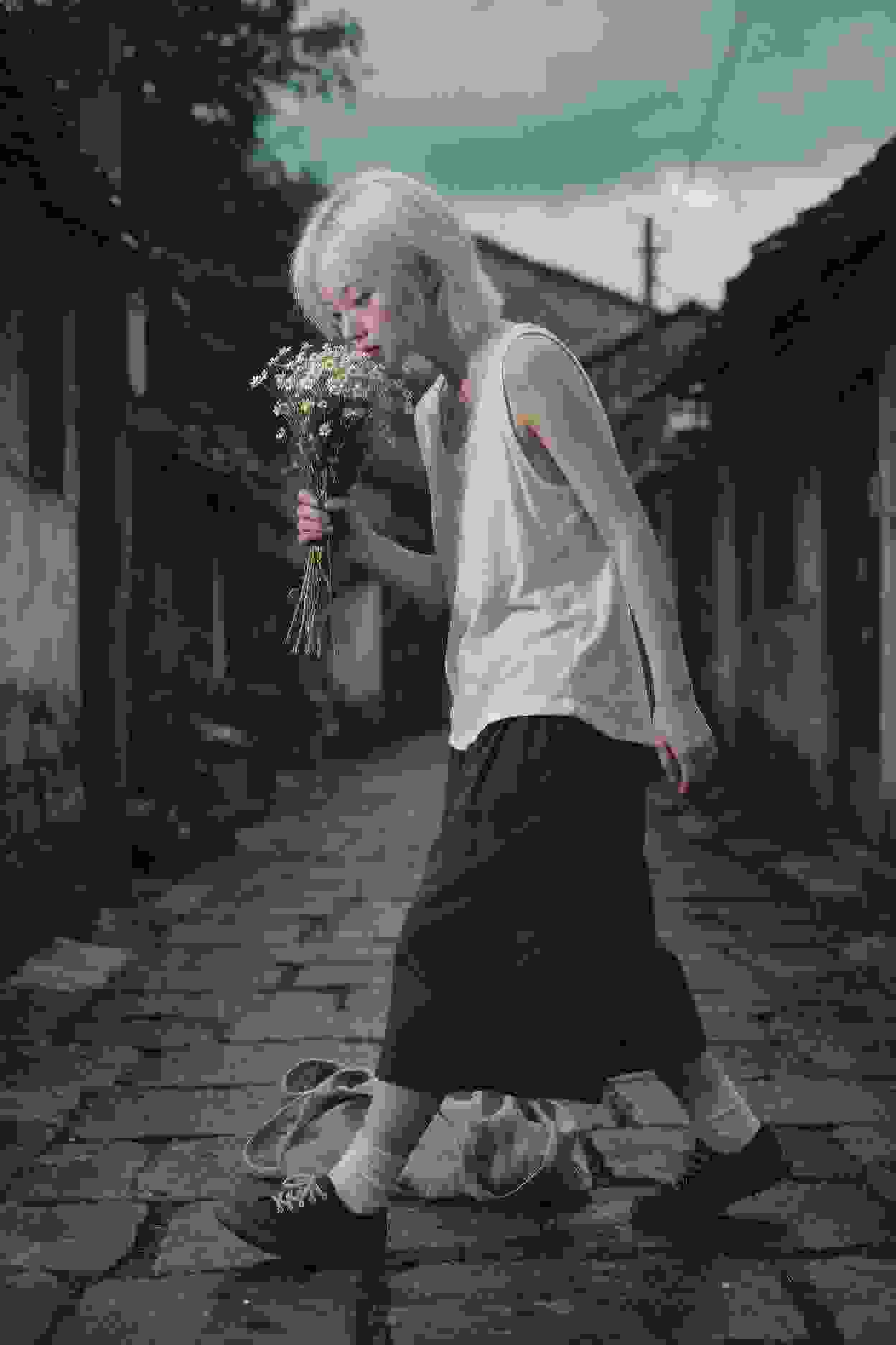 动画